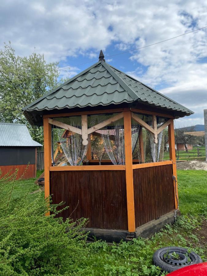 וילה в карпатах *